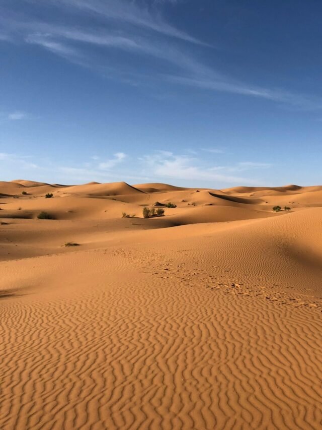 deserto